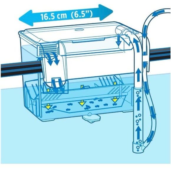 Fluval Multi-Chamber Holding and Breeding Box, Medium - Picture 2 of 4